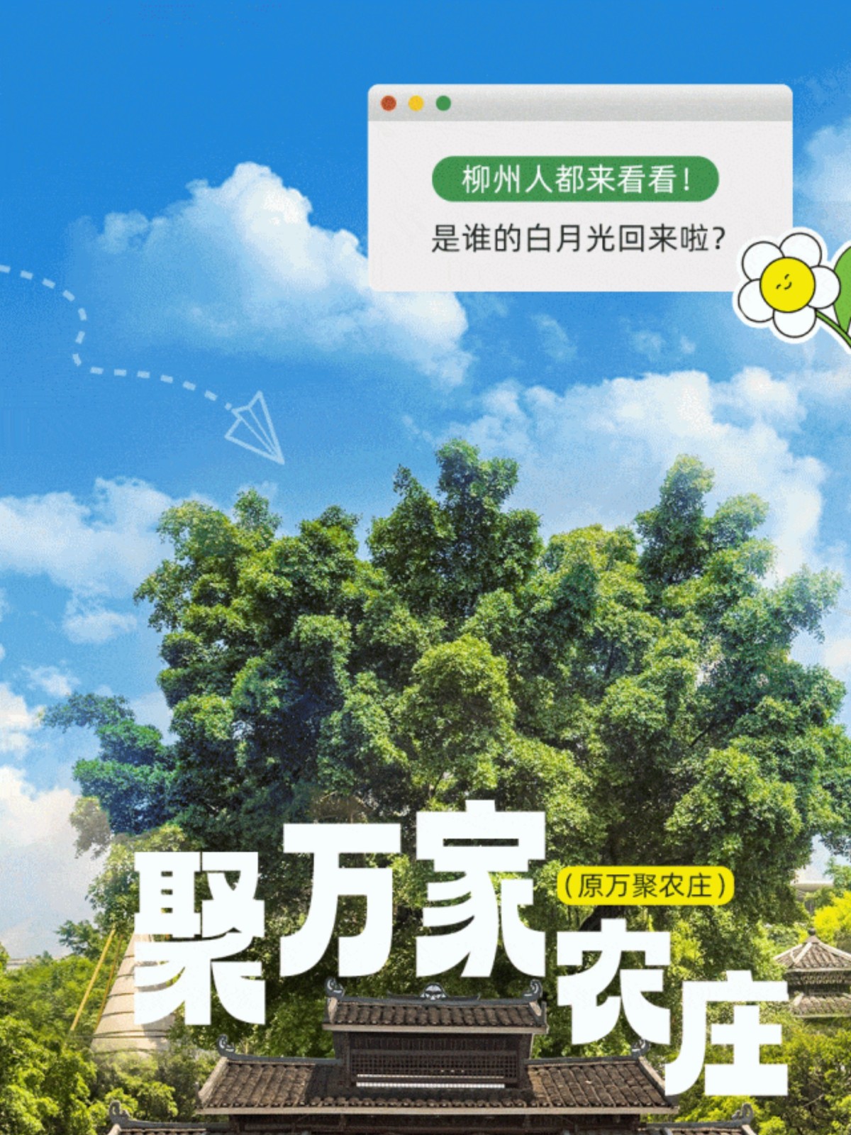 show_644989967_1756609425281_slice_0.jpg show_644989967_1756609425281_slice_0.jpg