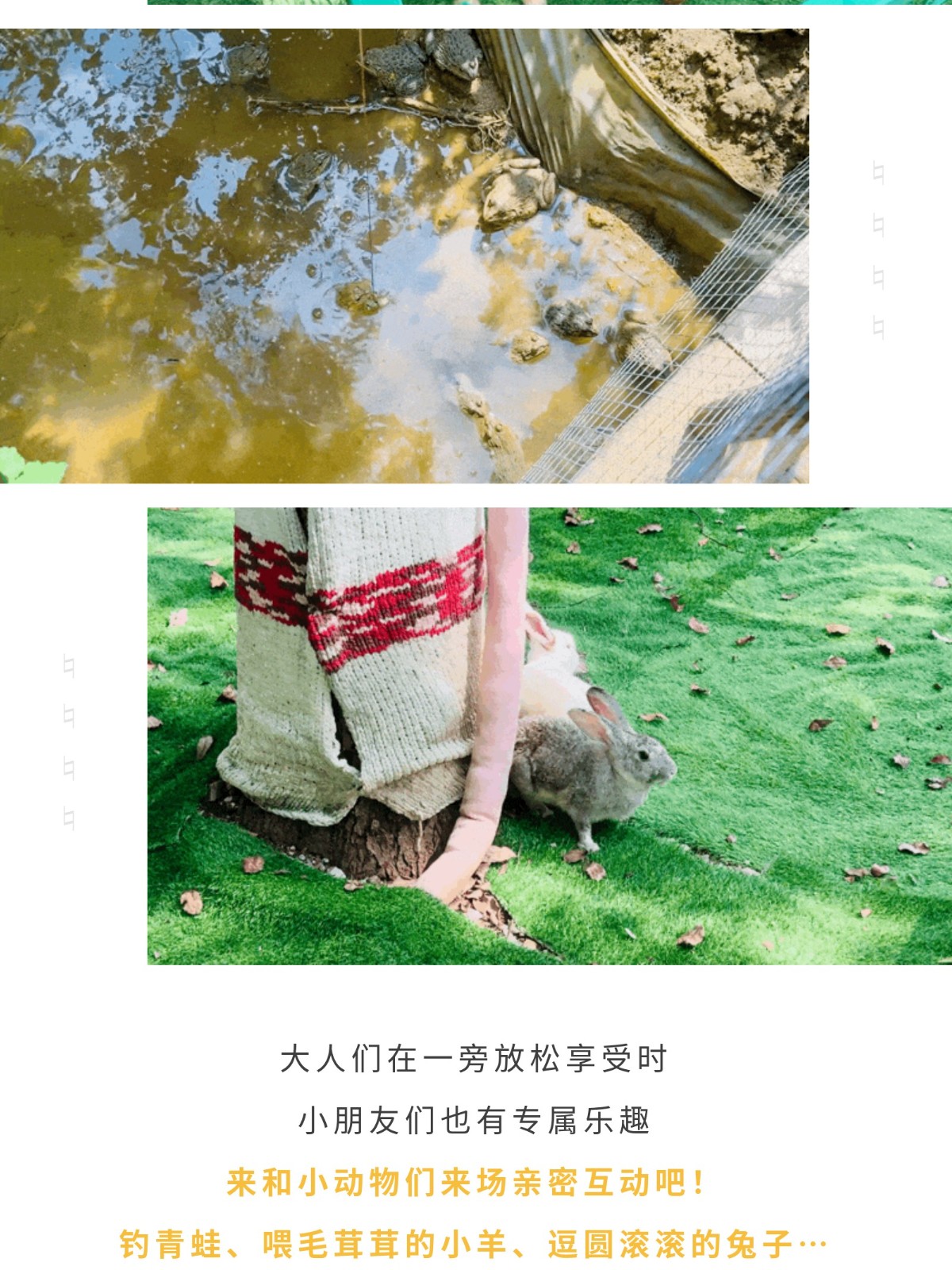 show_644989967_1756609425281_slice_16.jpg show_644989967_1756609425281_slice_16.jpg