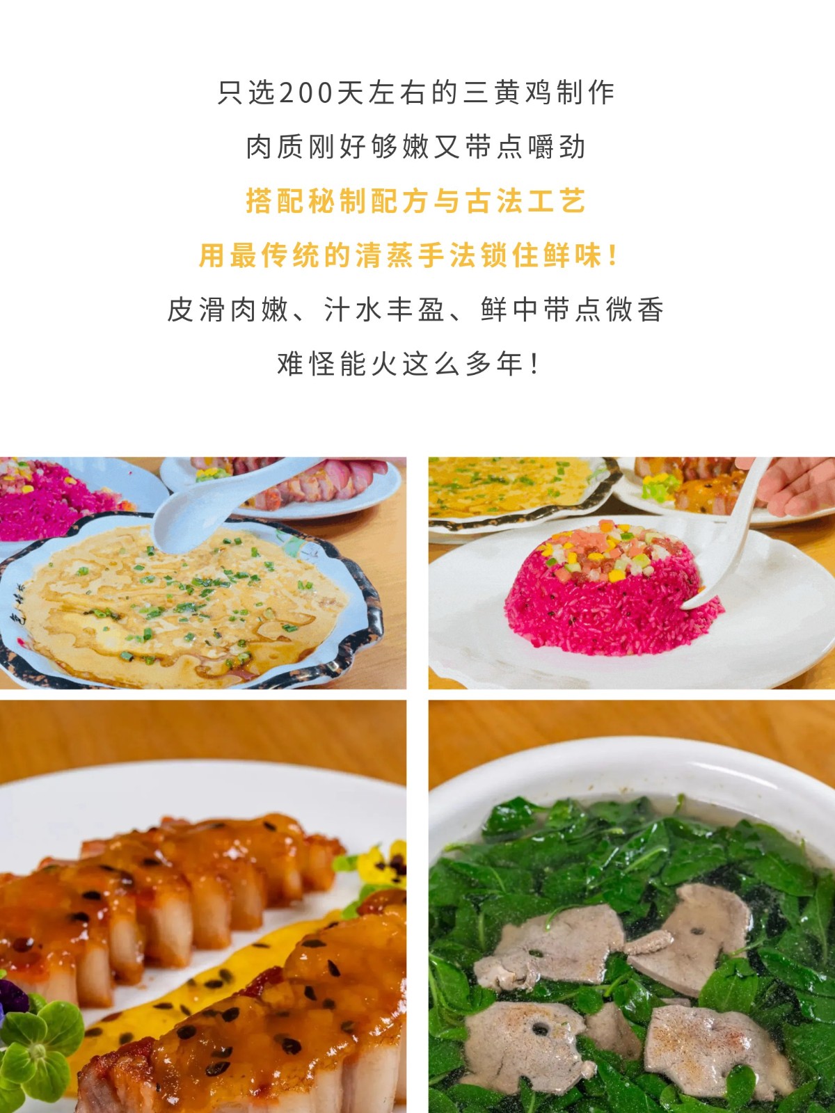 show_644989967_1756609425281_slice_21.jpg show_644989967_1756609425281_slice_21.jpg