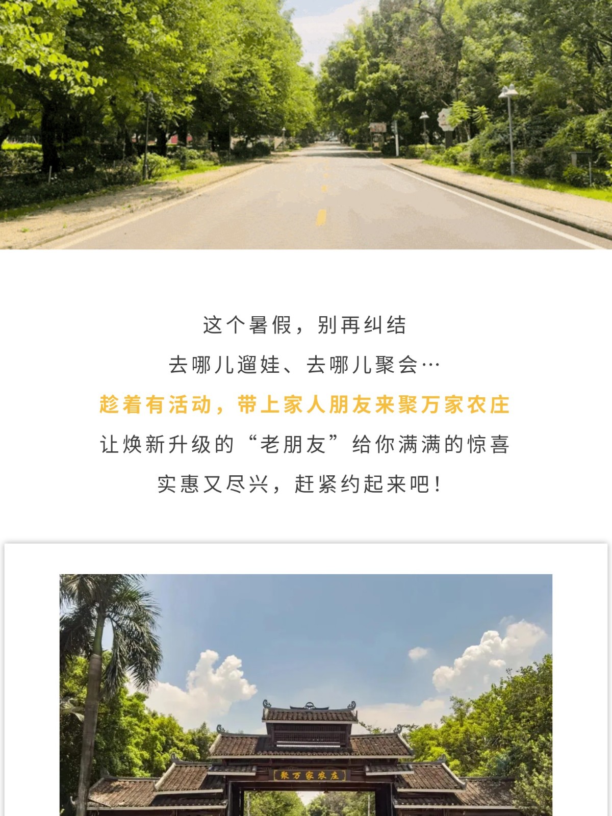 show_644989967_1756609425281_slice_24.jpg show_644989967_1756609425281_slice_24.jpg